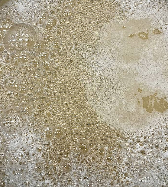 Immagine per la news Our indigenous yeasts