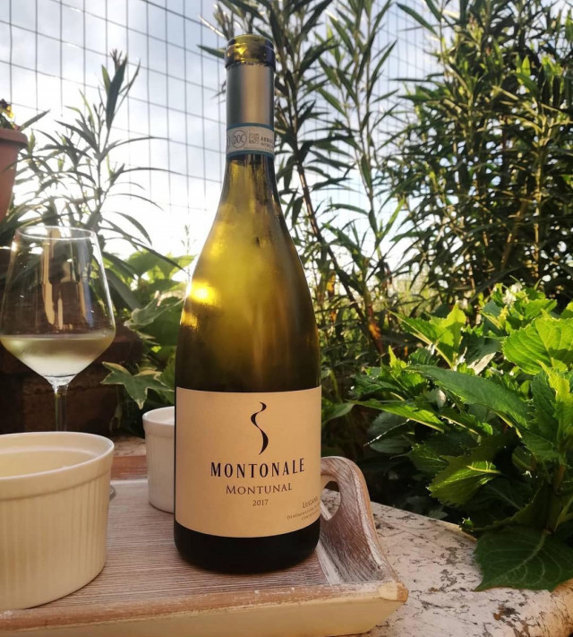 Immagine per la news I vini Montonale a casa vostra