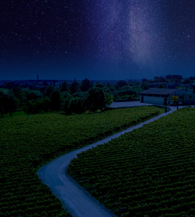 Immagine per la news Stelle su Montonale, il dinner party in vigna