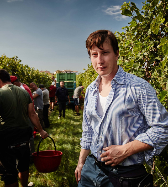 Immagine per la news Turbiana, Trebbiano o Verdicchio?